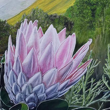 Load image into Gallery viewer, Giant Protea Original Oil Painting Artwork Signed by Artist Jeanette McCracken
