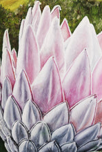 Load image into Gallery viewer, Giant Protea Original Oil Painting Artwork Signed by Artist Jeanette McCracken
