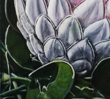 Load image into Gallery viewer, Giant Protea Original Oil Painting Artwork Signed by Artist Jeanette McCracken
