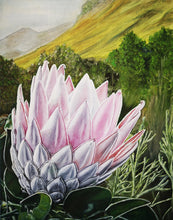 Load image into Gallery viewer, Giant Protea Original Oil Painting Artwork Signed by Artist Jeanette McCracken
